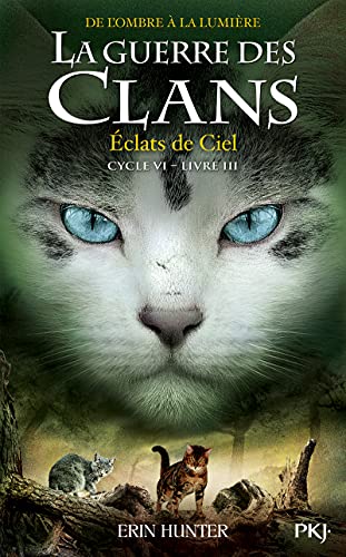 La Guerre des clans, Cycle VI - tome 3 Éclats de Ciel