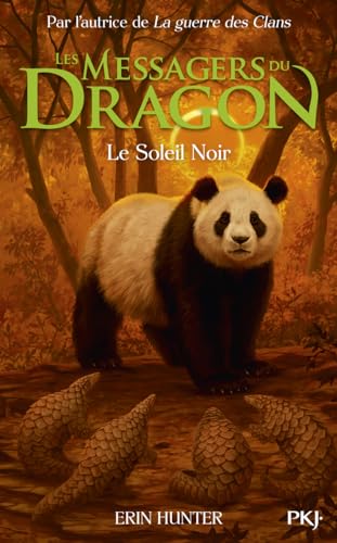 Les Messagers du Dragon, Cycle 1 - Tome 4 Le Soleil Noir (4) von POCKET JEUNESSE