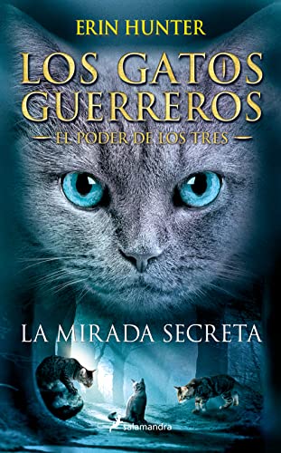 Mirada Secreta: . (Colección Salamandra Juvenil, Band 1)