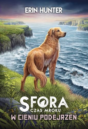 Sfora: Sfora Czas Mroku Tom 3 von Nowa Baśń