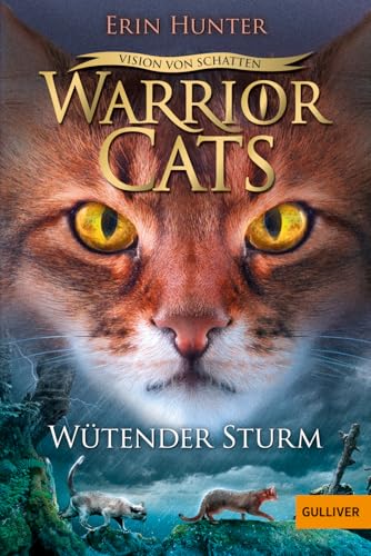 Warrior Cats - Vision von Schatten. Wütender Sturm: Staffel VI, Band 6