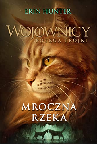 Wojownicy (14) (WOJOWNICY POTĘGA TRÓJKI, Band 14)