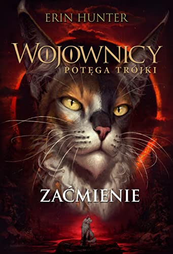 Wojownicy (16) (WOJOWNICY POTĘGA TRÓJKI, Band 16)