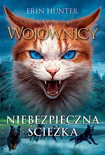 Wojownicy: Wojownicy, Tom V (5) von Nowa Baśń
