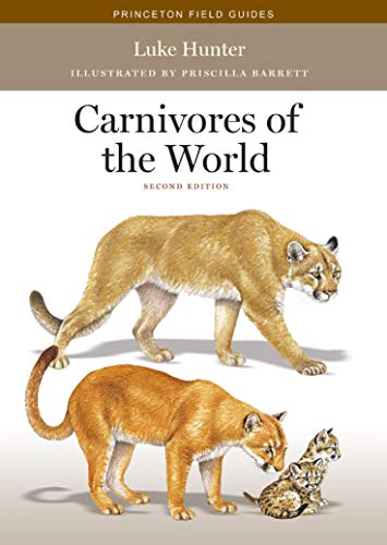 Carnivores of the World: Second Edition (Princeton Field Guides, Band 117)