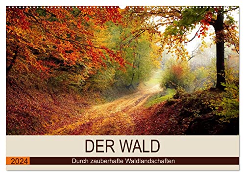 Der Wald. Durch zauberhafte Waldlandschaften (Wandkalender 2024 DIN A2 quer), CALVENDO Monatskalender