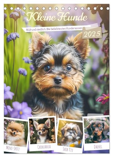 Kleine Hunde. Süß und niedlich. Die beliebtesten Hunderassen (Tischkalender 2025 DIN A5 hoch), CALVENDO Monatskalender: Die hübschesten Hündchen zum verlieben! von CALVENDO