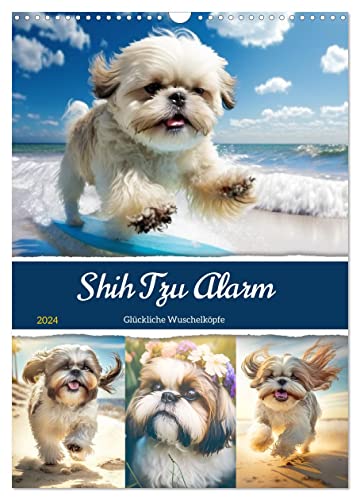 Shih Tzu Alarm. Glückliche Wuschelköpfe (Wandkalender 2024 DIN A3 hoch), CALVENDO Monatskalender