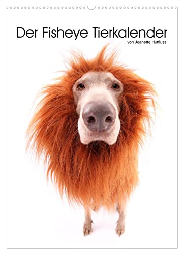 Der Fisheye Tiere Kalender (Wandkalender 2025 DIN A2 hoch), CALVENDO Monatskalender von CALVENDO