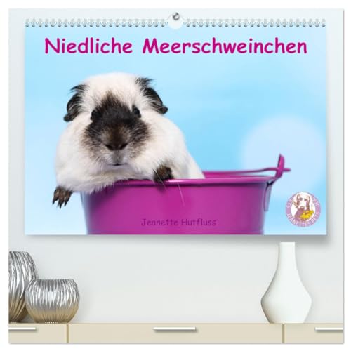 Niedliche Meerschweinchen (hochwertiger Premium Wandkalender 2025 DIN A2 quer), Kunstdruck in Hochglanz: Jeden Monat ein anderes drolliges Kerlchen von Calvendo