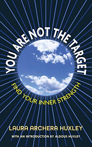 You Are Not the Target von Echo Point Books & Media, LLC