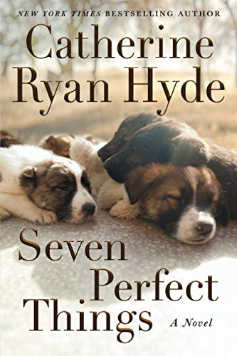 Seven Perfect Things: A Novel von Lake Union Publishing