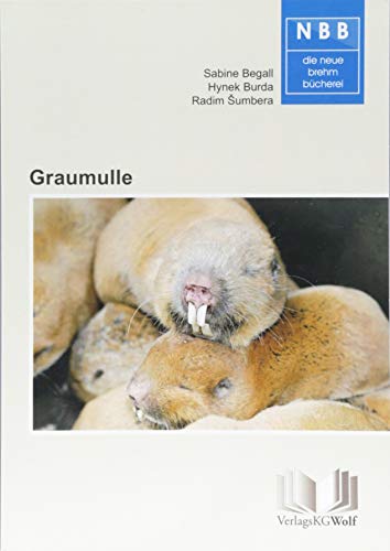 Graumulle - Cryptomys und Fukomys: Unterirdisch sozial lebende Stachelschweinverwandte von VerlagsKG Wolf