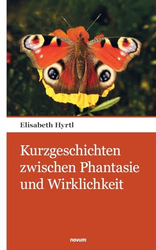 Kurzgeschichten zwischen Phantasie und Wirklichkeit von novum pocket