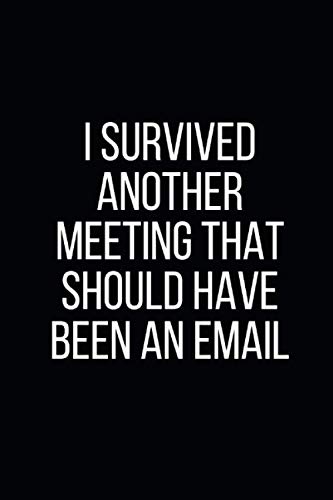 I Survived Another Meeting That Should Have Been An Email: Blank Lined Notebook Journal (6x9) (Coworker Gag Gift Funny Office, Band 3) von Independently published