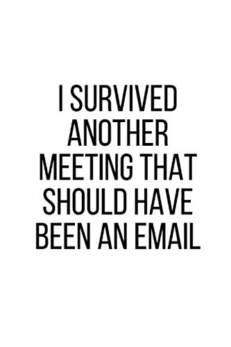 I Survived Another Meeting That Should Have Been An Email: Blank Lined Notebook Journal (6x9) (Coworker Gag Gift Funny Office, Band 4) von Independently published