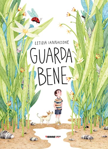 Guarda bene. Ediz. a colori (Acchiappastorie) von ACCHIAPPASTORIE