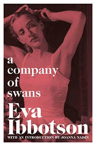 A Company of Swans (Aziza's Secret Fairy Door, 56) von MACMILLAN