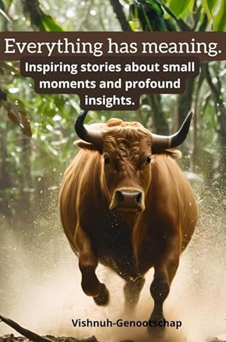 Everything has meaning.: Dejavu von Bookmundo