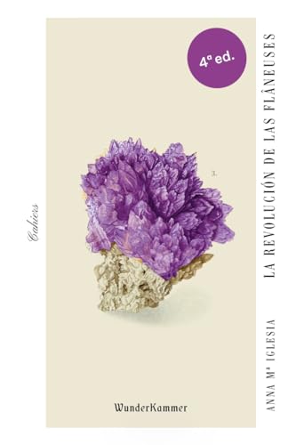 La revolución de las flâneuses (Cahiers, Band 3)