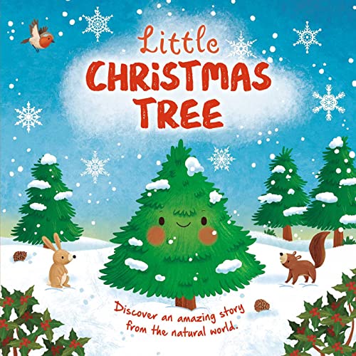 Little Christmas Tree: Discover an Amazing Story from the Natural World (Nature Stories)