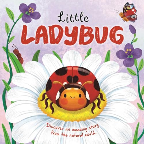 Little Ladybug: Discover an Amazing Story from the Natural World (Nature Stories) von Igloo Books