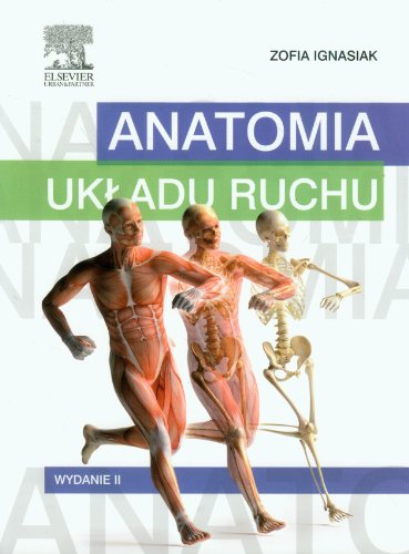 Anatomia ukladu ruchu