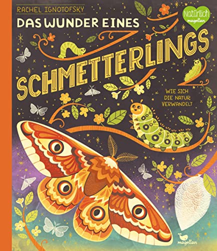 Das Wunder eines Schmetterlings - Wie sich die Natur verwandelt: Ein Sachbilderbuch für Kinder ab 6 Jahren über Insekten (Wunder der Natur)