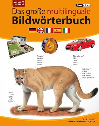 JOURIST Das große multilinguale Bildwörterbuch Deutsch-Englisch-Französisch-Spanisch-Italienisch: 120.000 Wörter und Wendungen: 120.000 Wörter und ... das sechssprachige Bildwörterbuch-App.