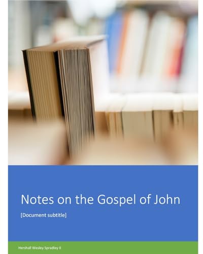 Notes on the Gospel of John von Blurb