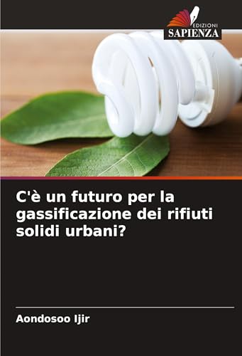 C'è un futuro per la gassificazione dei rifiuti solidi urbani? von Edizioni Sapienza