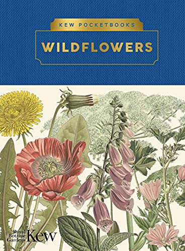 Wildflowers (Kew Pocketbooks)
