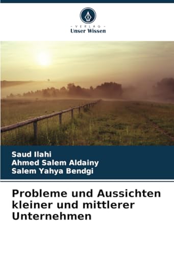Probleme und Aussichten kleiner und mittlerer Unternehmen: DE