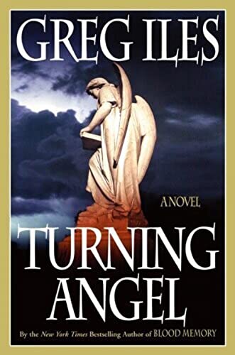 Turning Angel: A Novel Turning Angel: A Novel