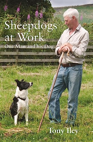 Sheepdogs at Work: One Man and His Dogs von McNidder and Grace