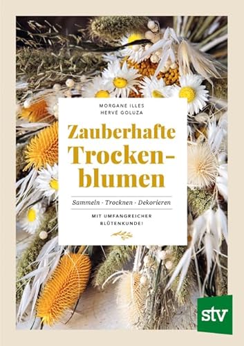 Zauberhafte Trockenblumen: Sammeln ∙ Trocknen ∙ Dekorieren