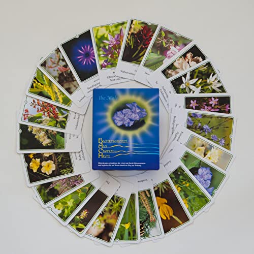 Bachblüten-Karten: Karten - Deutsch. Blüten als Chance und Hilfe: Kartenset mit allen 39 Bachblütenfotos