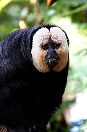 Saki Monkey Journal: 150 page lined notebook/diary von CreateSpace Independent Publishing Platform