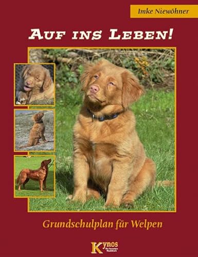 Auf ins Leben!: Grundschulplan für Welpen