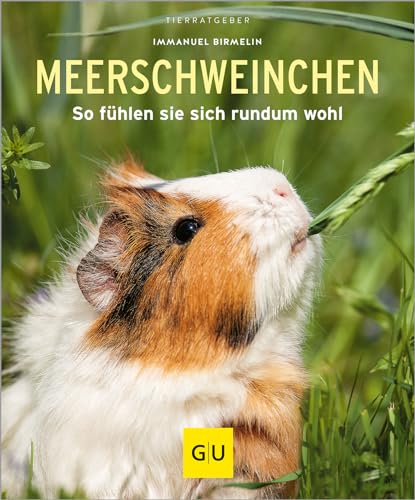 Meerschweinchen: So fühlen sie sich rundum wohl