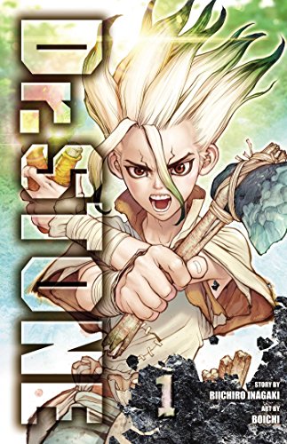 Dr. Stone, Vol. 1: Stone World (DR STONE GN, Band 1) von Simon & Schuster