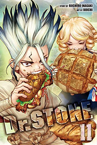 Dr. Stone, Vol. 11: Volume 11 (DR STONE GN, Band 11)