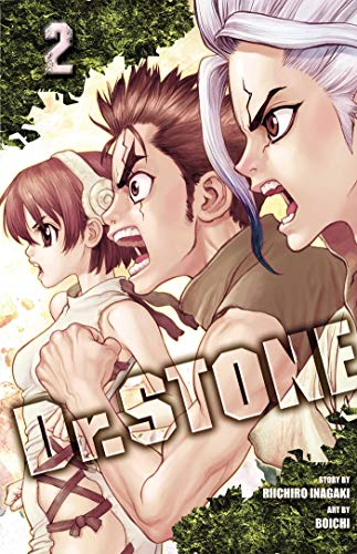 Dr. Stone, Vol. 2: Two Kingdoms Of The Stone World (DR STONE GN, Band 2)