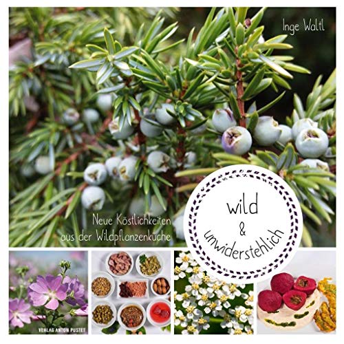 wild & unwiderstehlich: Neue Köstlichkeiten aus der Wildpflanzenküche wild & unwiderstehlich: Neue Köstlichkeiten aus der Wildpflanzenküche