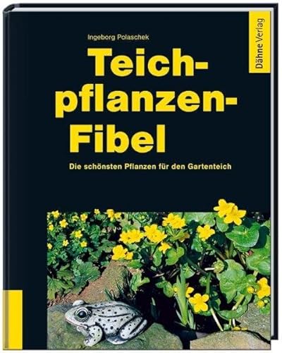 Teichpflanzen-Fibel: Die schönsten Pflanzen für den Gartenteich