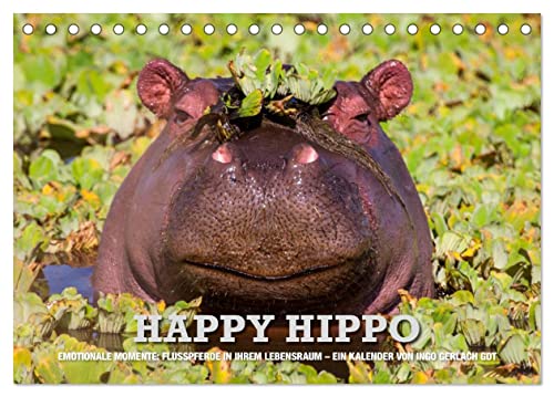 Emotionale Momente. Happy Hippo/CH-Version (Tischkalender 2025 DIN A5 quer), CALVENDO Monatskalender von CALVENDO