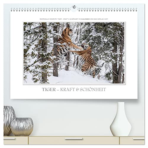 Emotionale Momente: Tiger - Kraft & Schönheit. (hochwertiger Premium Wandkalender 2025 DIN A2 quer), Kunstdruck in Hochglanz von CALVENDO