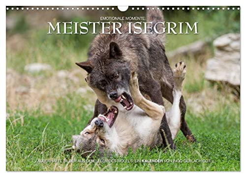 Meister Isegrim (Wandkalender 2025 DIN A3 quer), CALVENDO Monatskalender