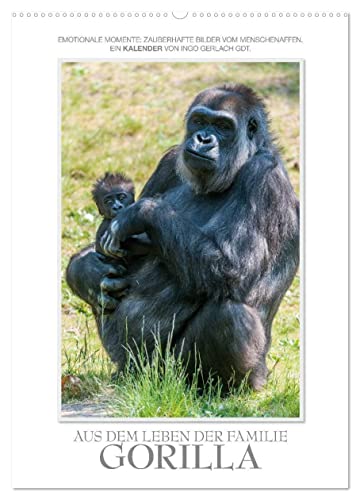 Emotionale Momente: Aus dem Leben der Familie Gorilla. (Wandkalender 2024 DIN A2 hoch), CALVENDO Monatskalender
