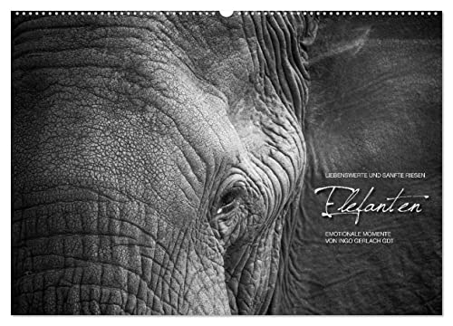 Emotionale Momente: Elefanten in black & white (Wandkalender 2024 DIN A2 quer), CALVENDO Monatskalender